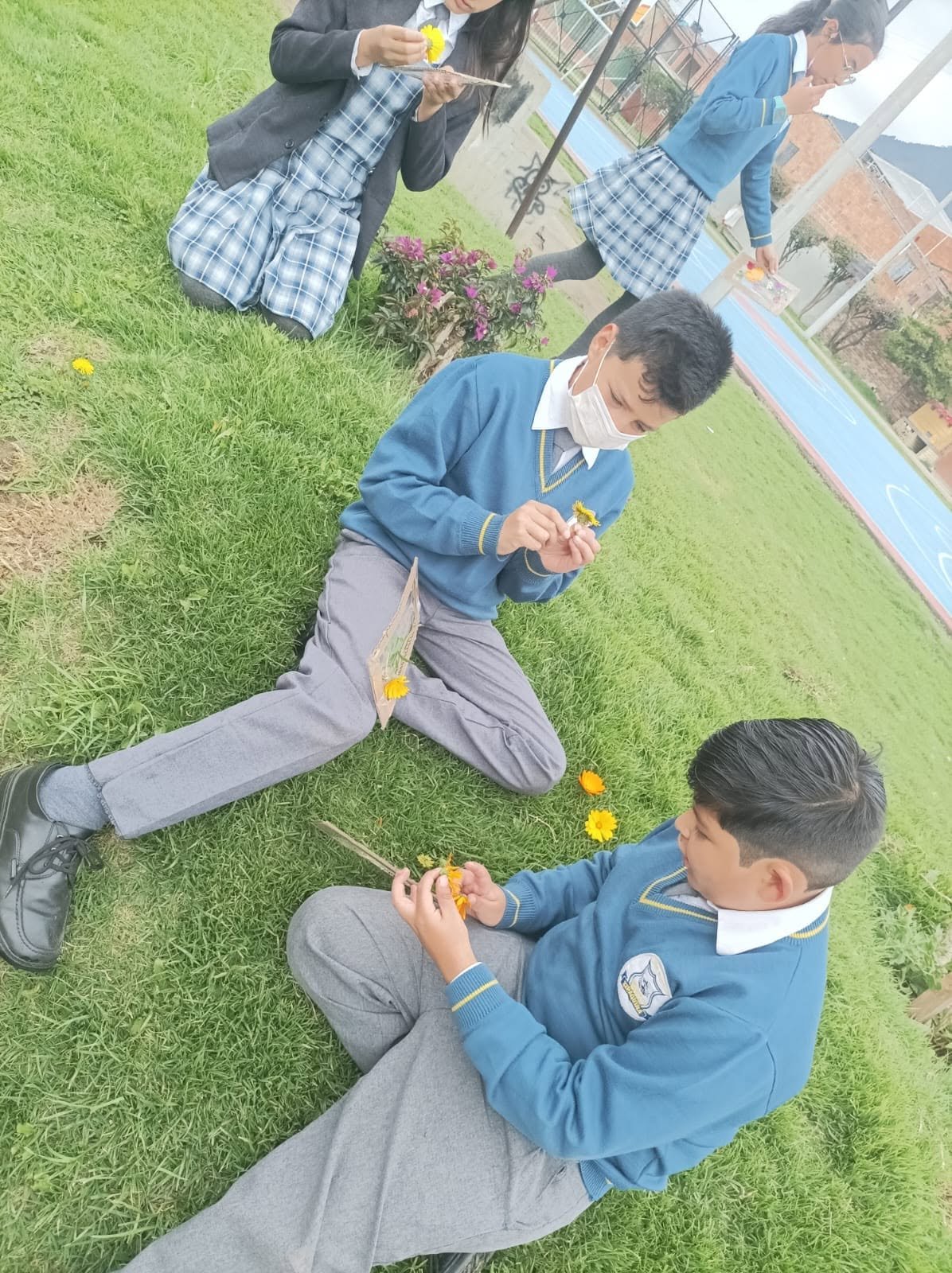 estudiantes semillas del mañana en proyecto de ciencias naturales